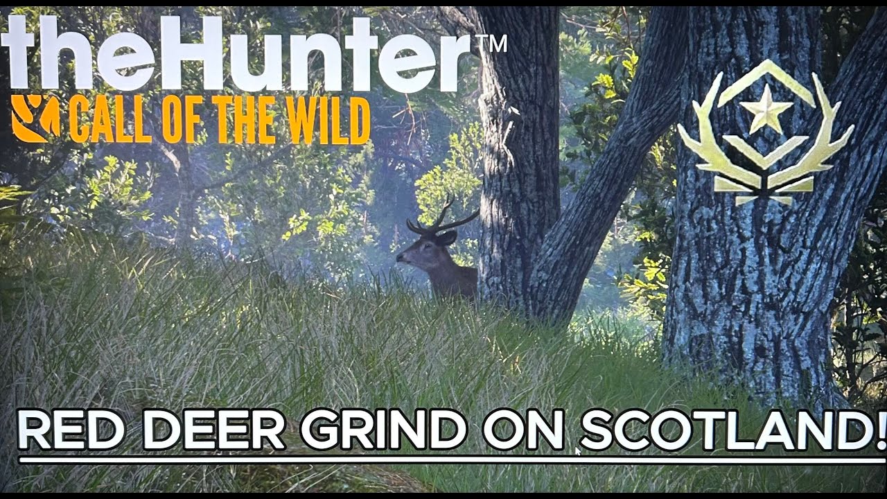GRINDING RED DEER ON SCOTLAND🦌 | Great One Hunting Begins