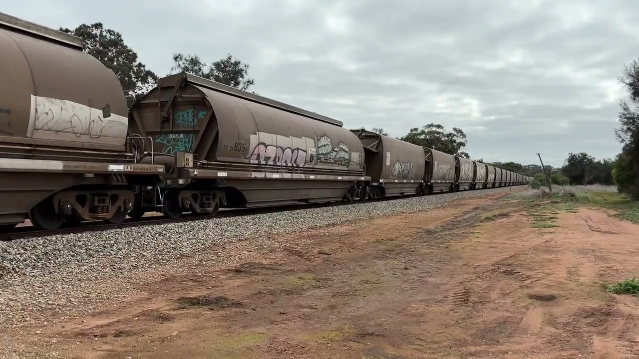 IMG 6930 CBH009/ CBH006 on 3K14 loaded grain train at Bejoording on15/7/25. Video: Phil Melling.
