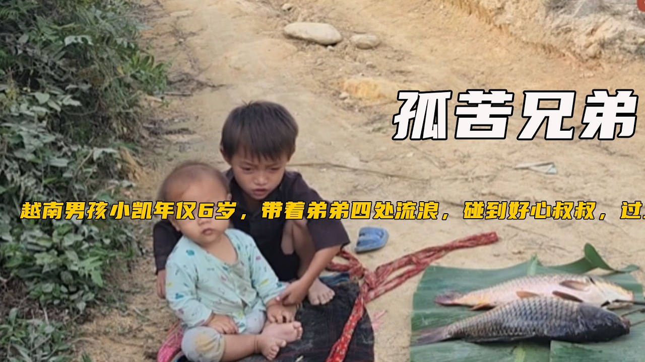 越南男孩小凱年僅6歲，帶著弟弟四處流浪，碰到好心叔叔，過上幸福生活《141-150合集》