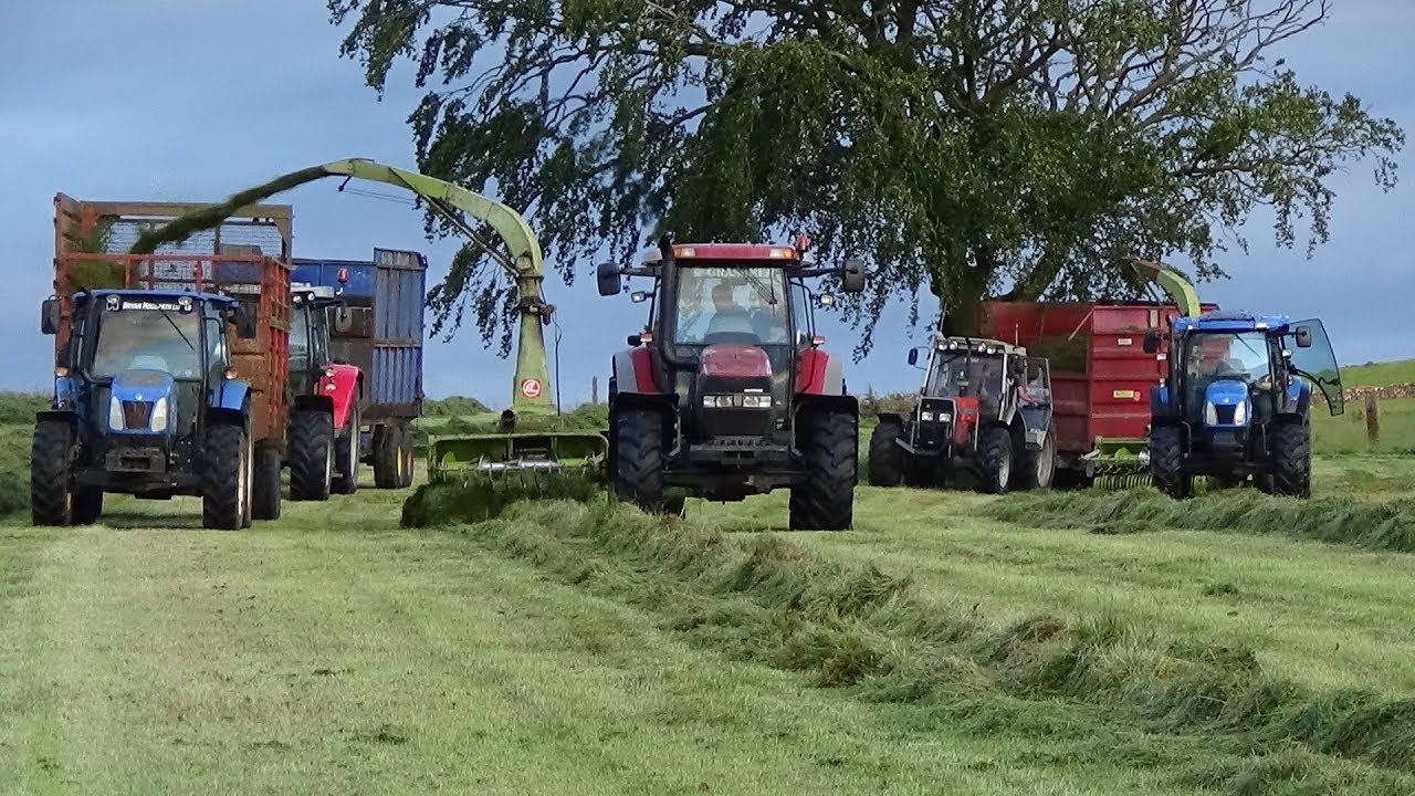 Cumbrian Silage - Lifting Grass with TWO Trailed Claas 62s & Modern Classics - Silage 2019