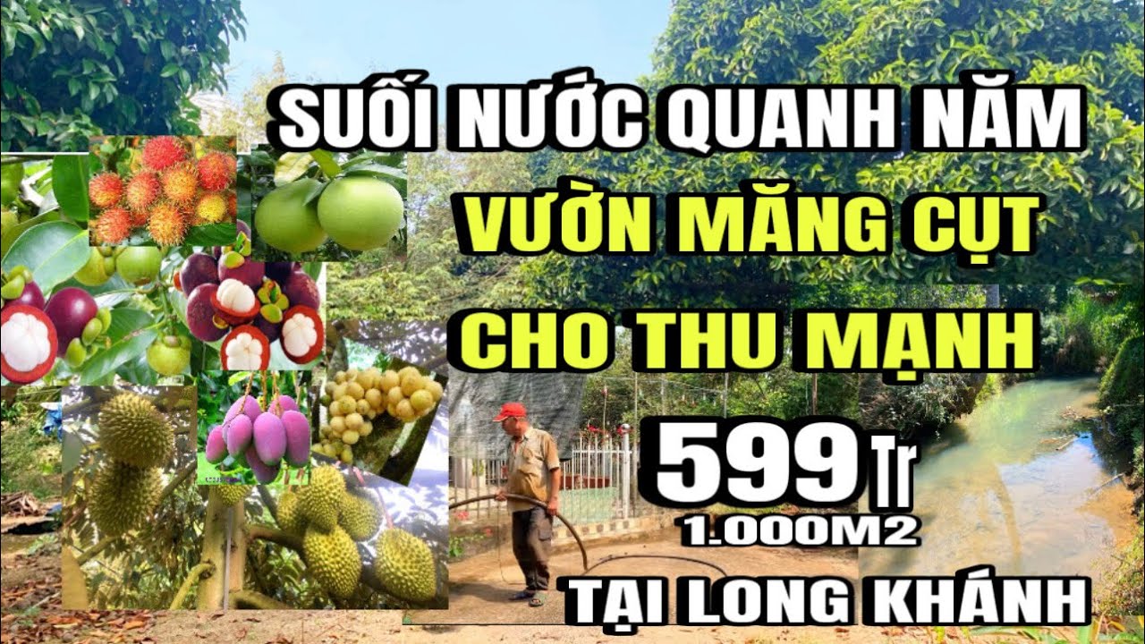 Chú 2 bán gấp, Nhà vườn đủ loại trái cây, suối nước quanh năm, cho thu nhập mạnh, tại Long Khánh