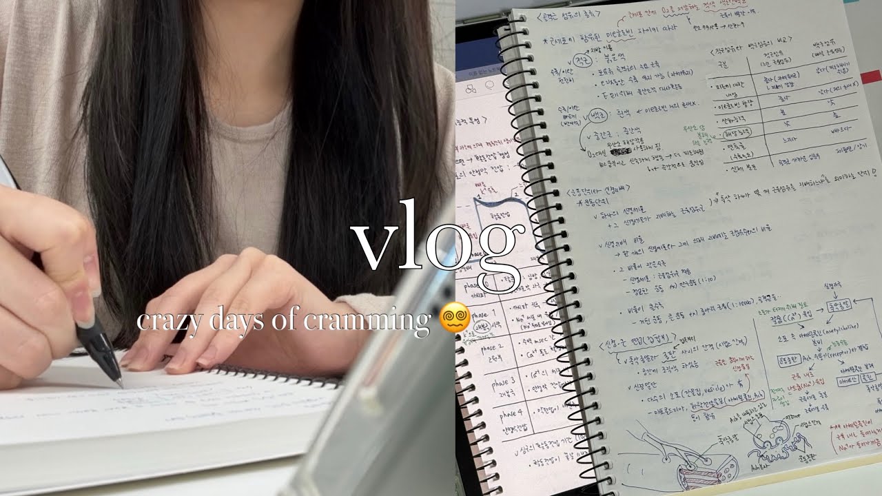 간호대생 6과목 벼락치기 브이로그 | 12시간동안 240페이지 암기하기 • 전과목 중간 등수 공개..😵