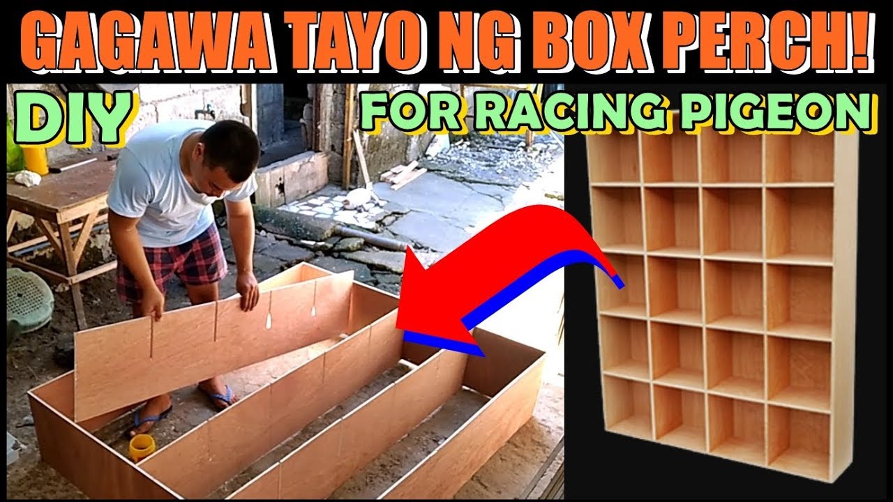 GAGAWA TAYO NG BOX PERCH PARA SA KALAPATI