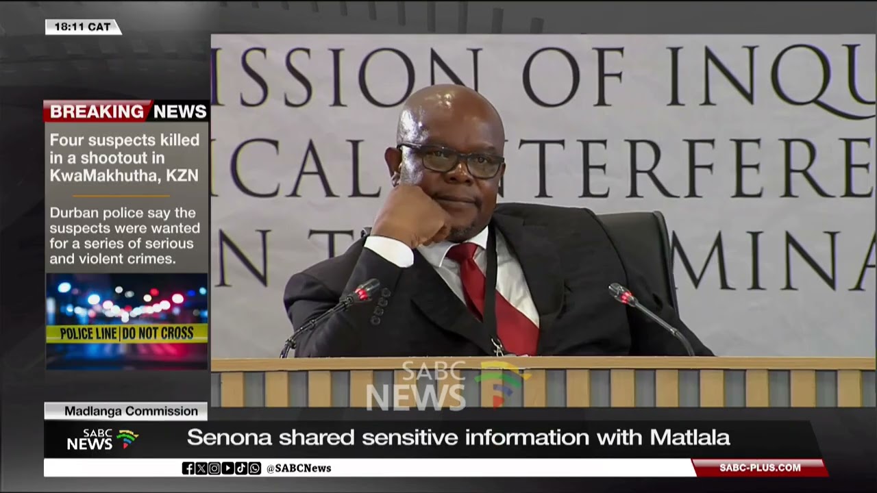 Madlanga Commission | Dr Lennit Max on Sesona's testimony