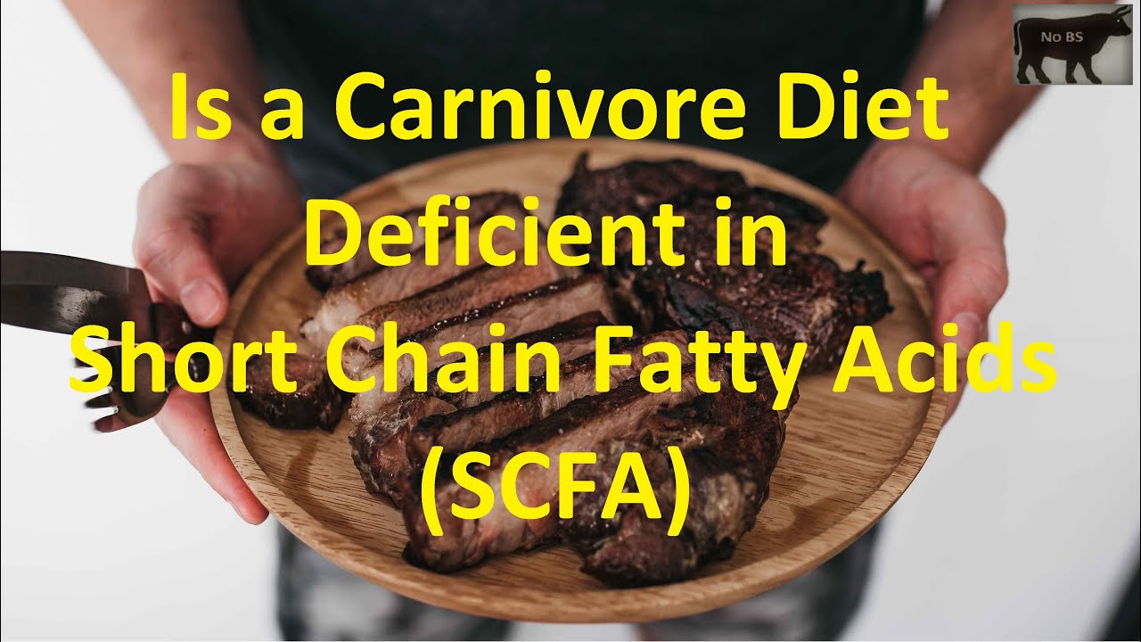 Is a Carnivore Diet Deficient in Short Chain Fatty Acids (SCFA)