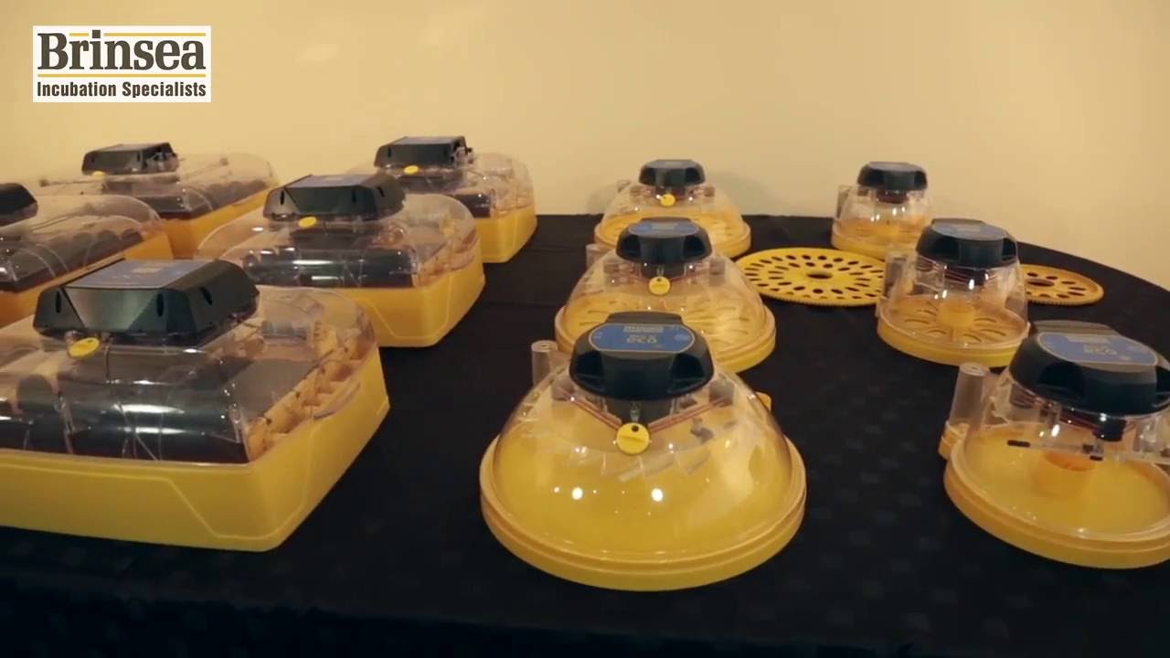 NEW -  Brinsea Mini II, Maxi II and Ovation Incubators