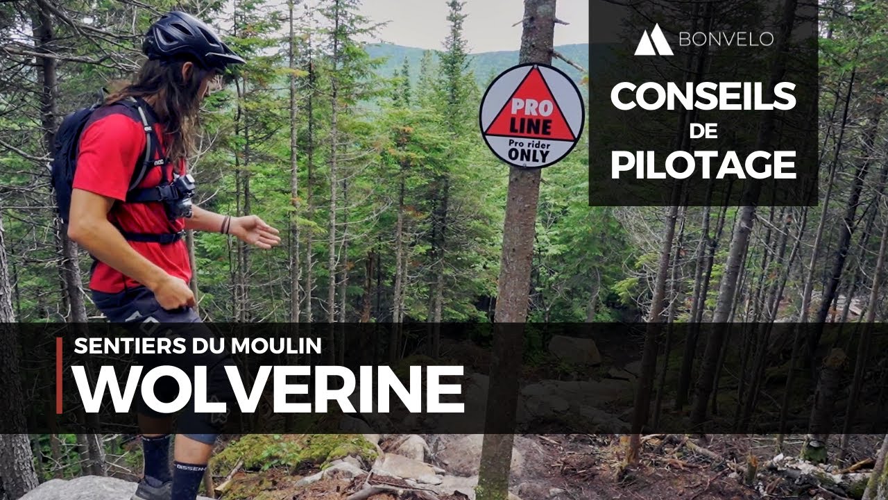 Décortiquons la Wolverine | Sentiers du Moulin QC