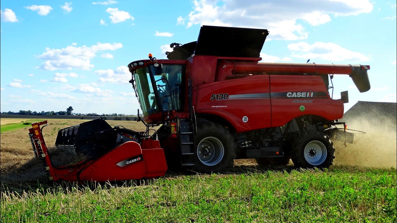 Żniwa Rzepakowe 2016! Case Axial-Flow 5130 ☆ John Deere 6170R ☆ New Holland 8560