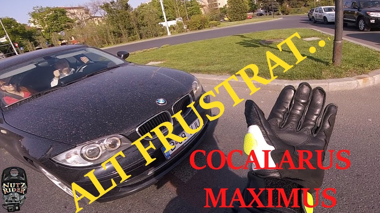 DAILY TRAFFIC #36- 2019  COCALAREALA MAXIMA+ALT FRUSTRAT..