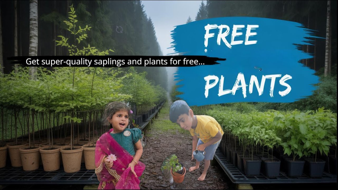 హైదరాబాద్ లో plant lovers కి సూపర్ న్యూస్ 