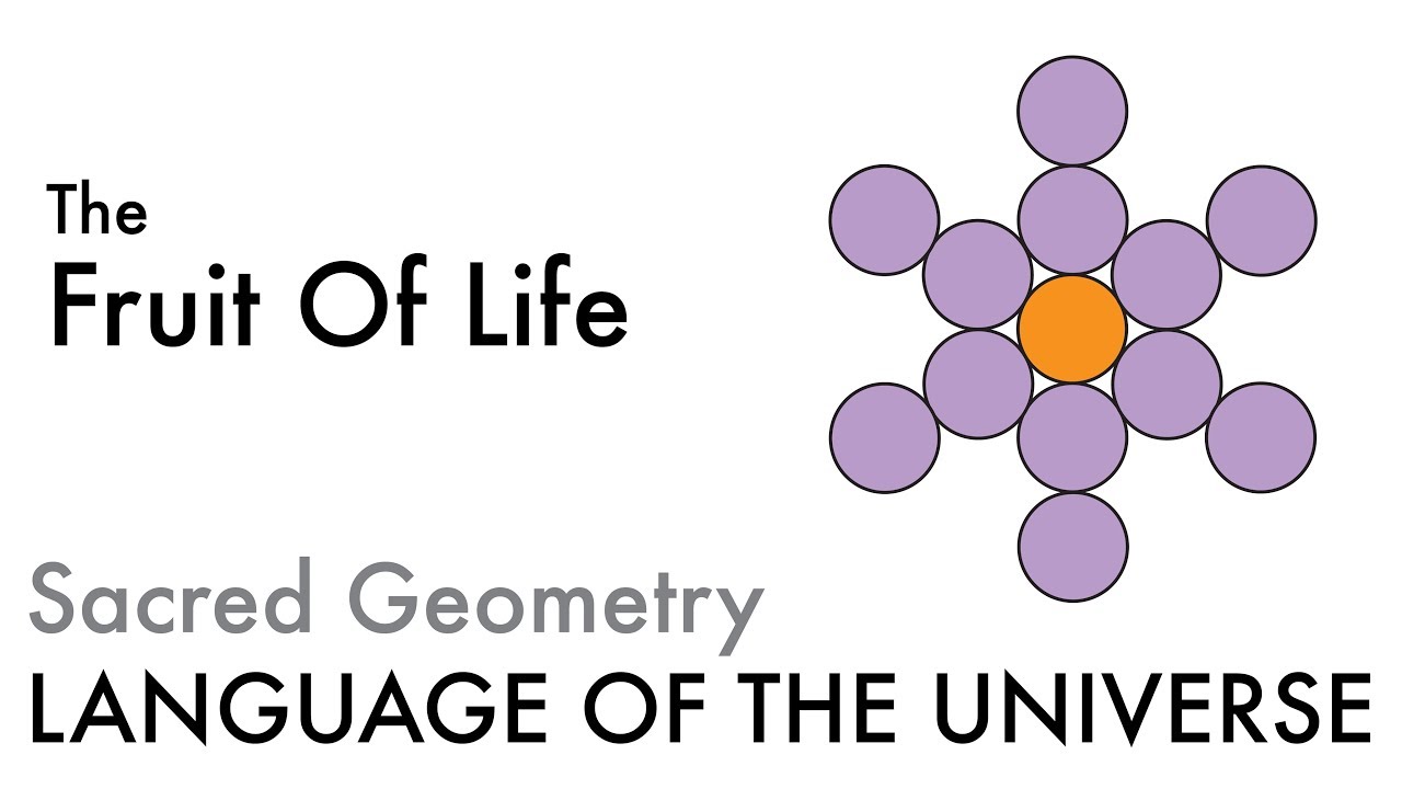 The Fruit Of Life - Sacred Geometry