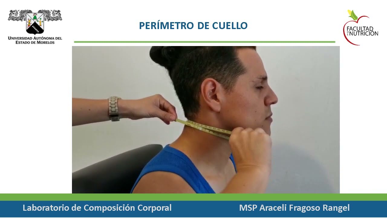 Perímetro de cuello