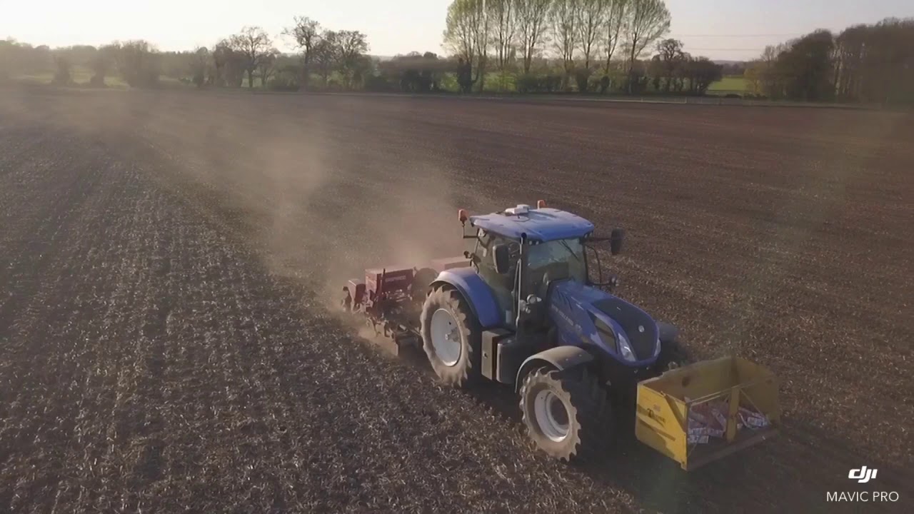 Maize drilling 2020