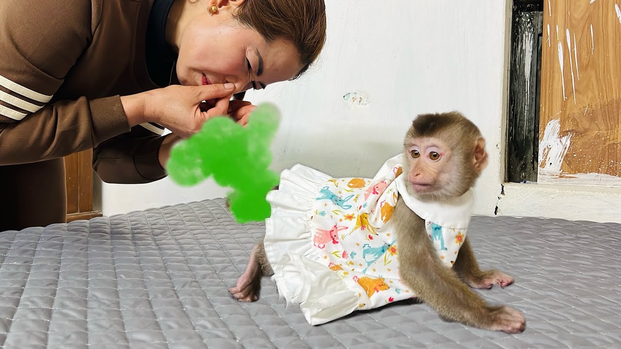 Monkey Tina pooped and lay on mommy's bed and didn't want mommy to change her diaper