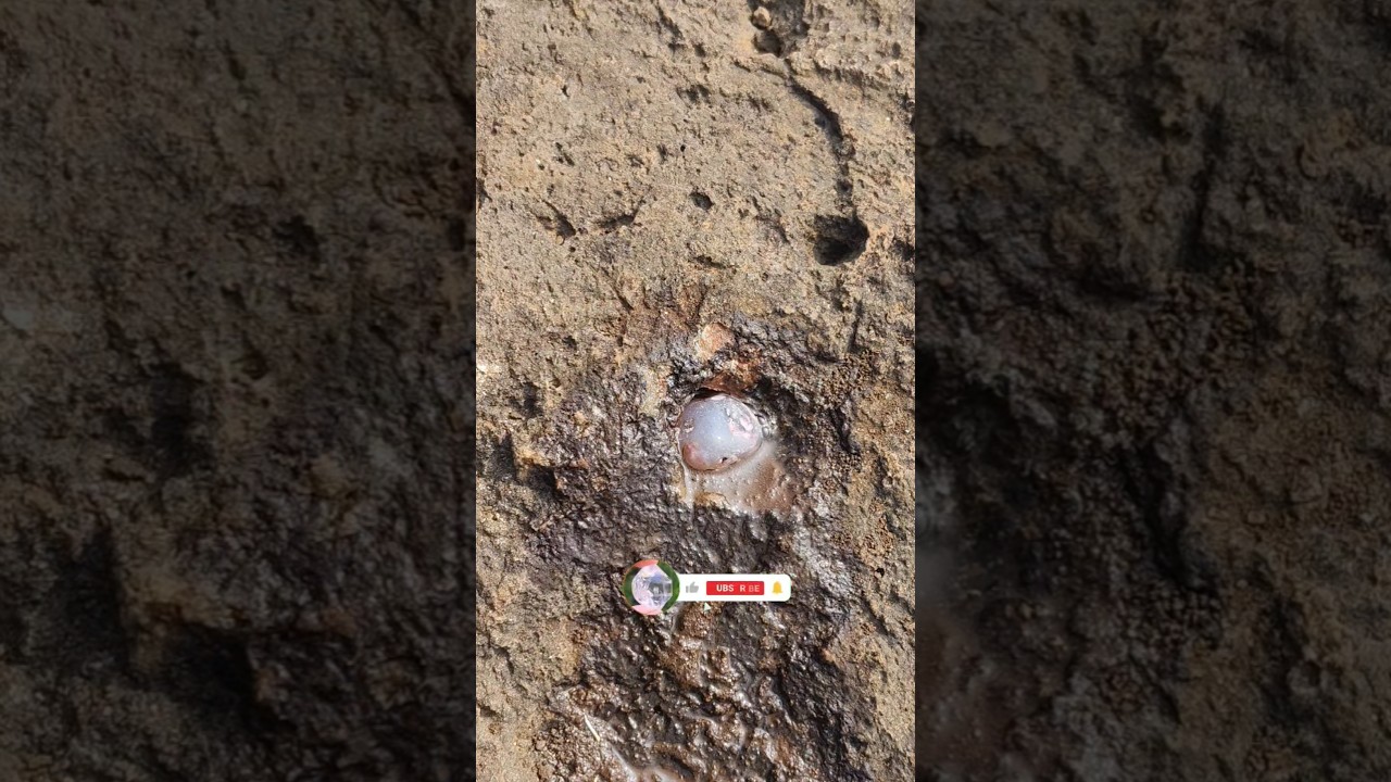 Bay Diamond Hunter Uncovers Ceylon Pink Sapphire & Sapphire-Formed Agate 💎 Rare Gem Mining!