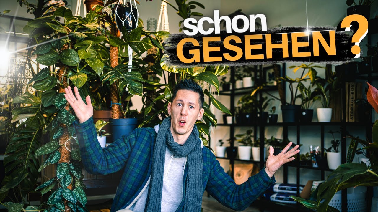 Neuer Shop und neue Pflanzen 2023? Los geht's seltene Zimmerpflanzen abchecken mit dem Pott Planter!