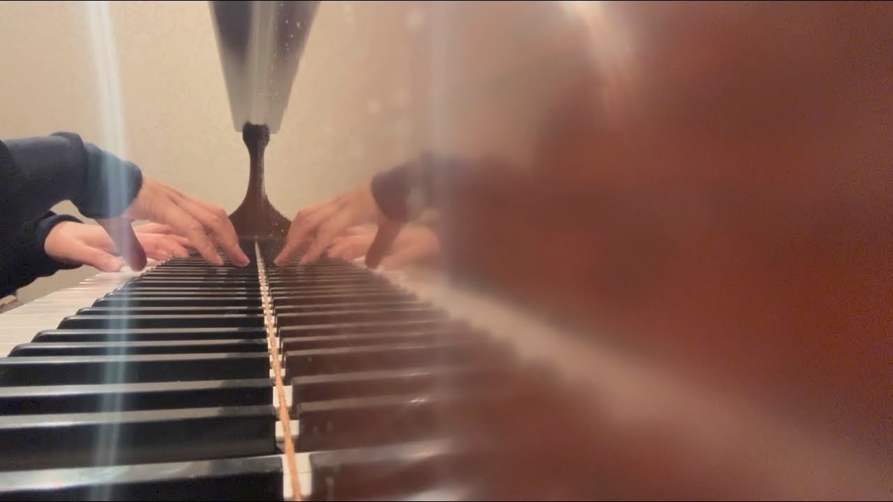 J.S.Bach / Kempff, Jesus bleibet meine Freude (BWV147)  ---practice note3 