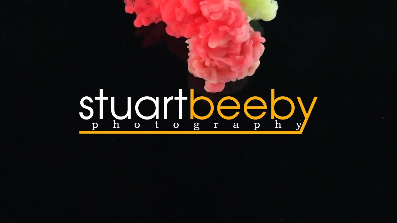 Boston Portrait and Event Photographer Stuart Beeby
