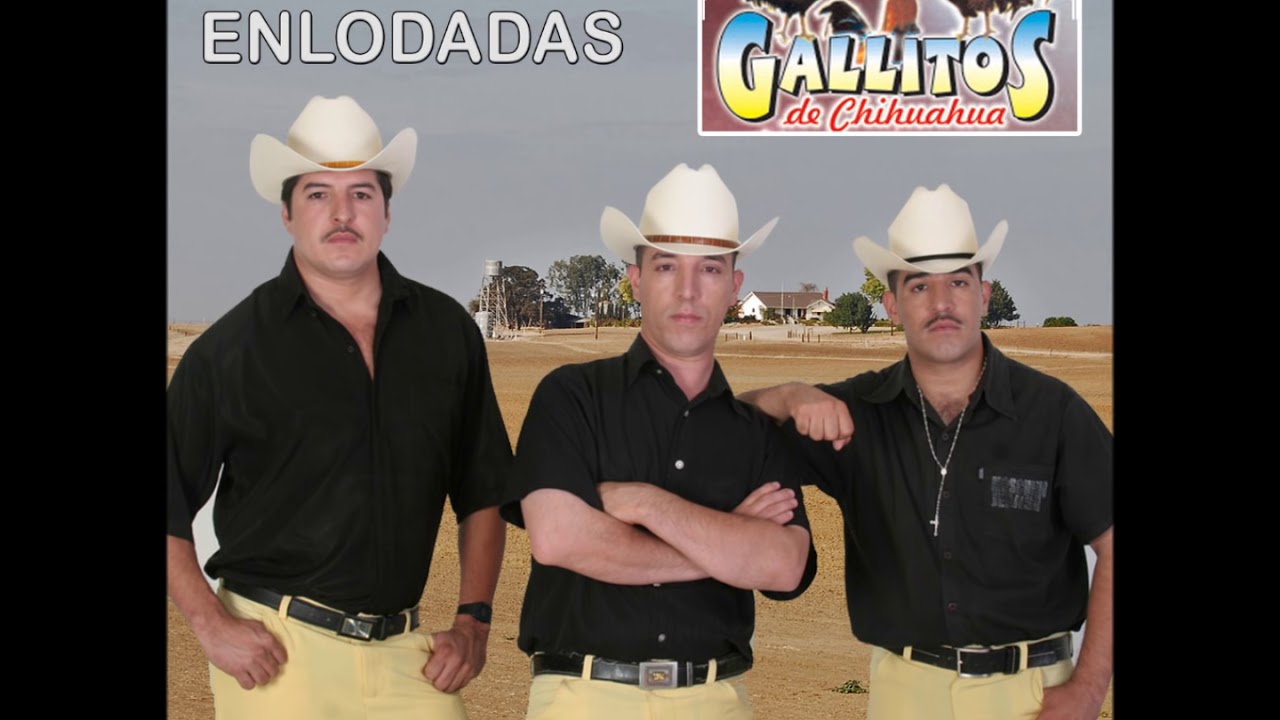 Los Gallitos de Chihuahua -Calles Enlodadas(Album Completo)