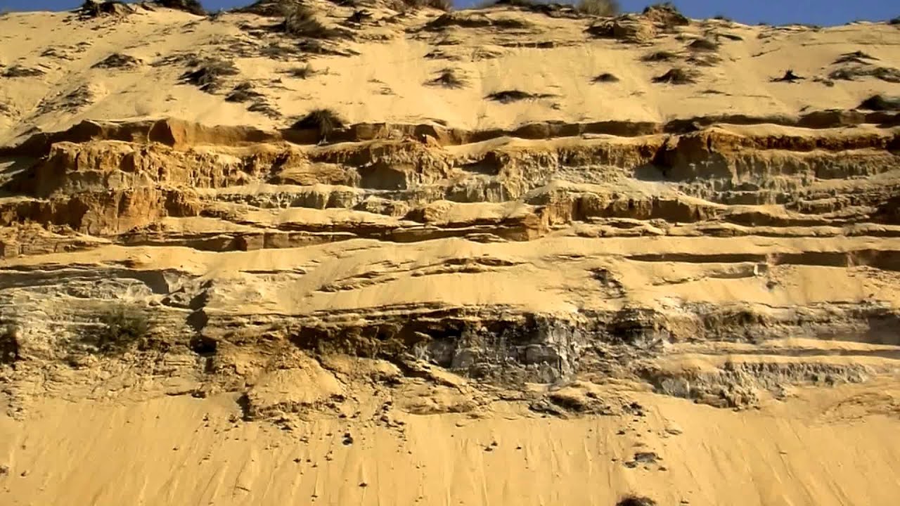 Curiosidades de Doñana