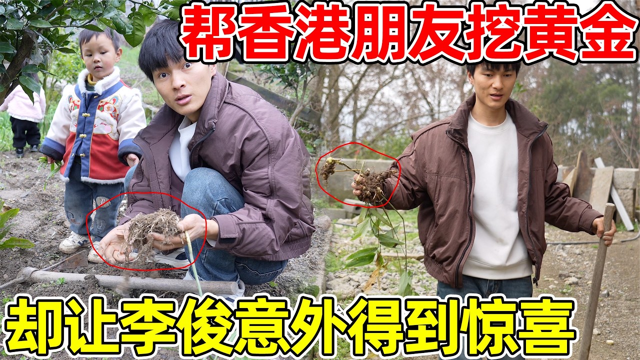 帮朋友挖黄金，既然挖出比手掌大，李俊意外发现可以像叉叉原房主一样大量种黄金，以后可以卖