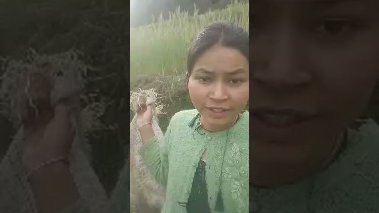 ब्लॉक और पहाड़ी कलर्स पहाड़ी कामकाज