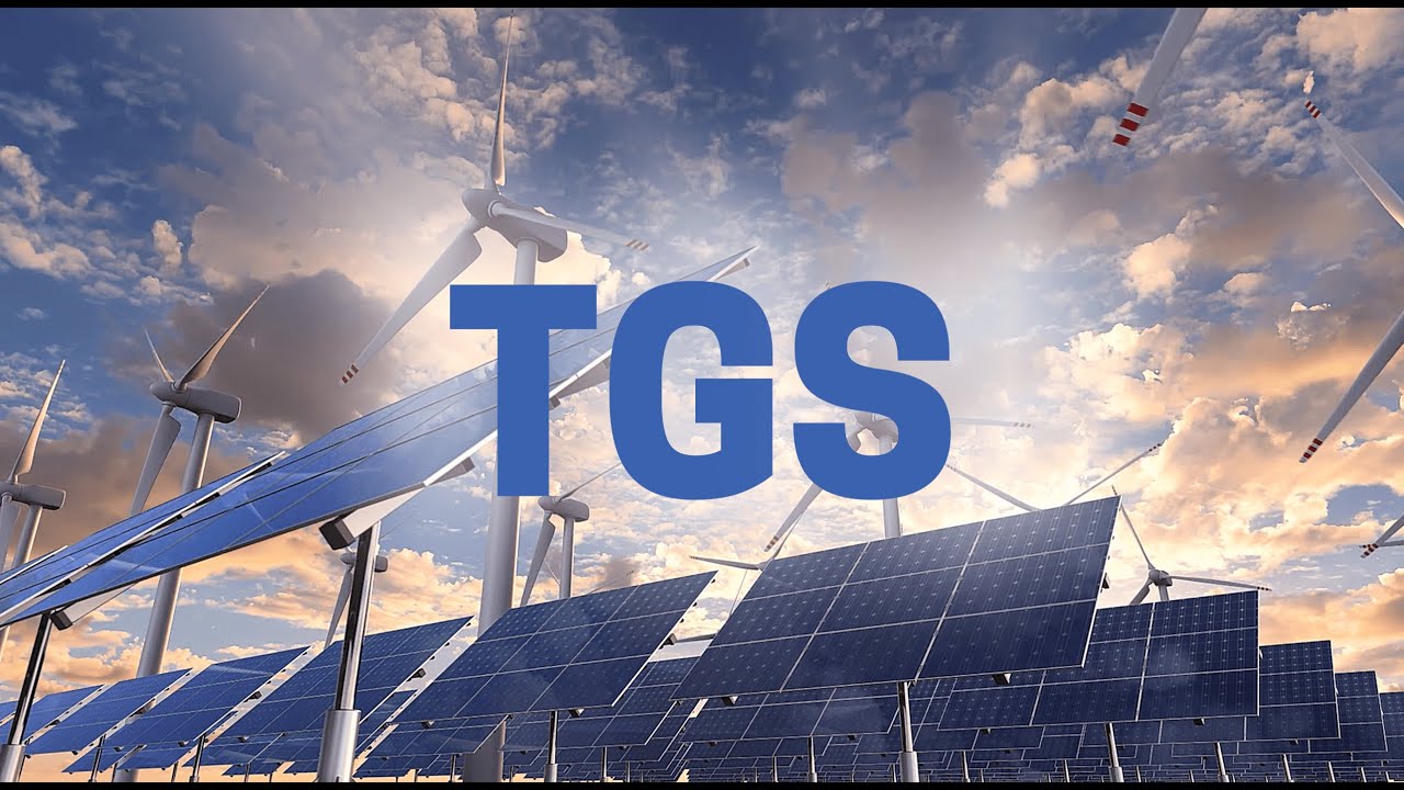 TGS video-presentation