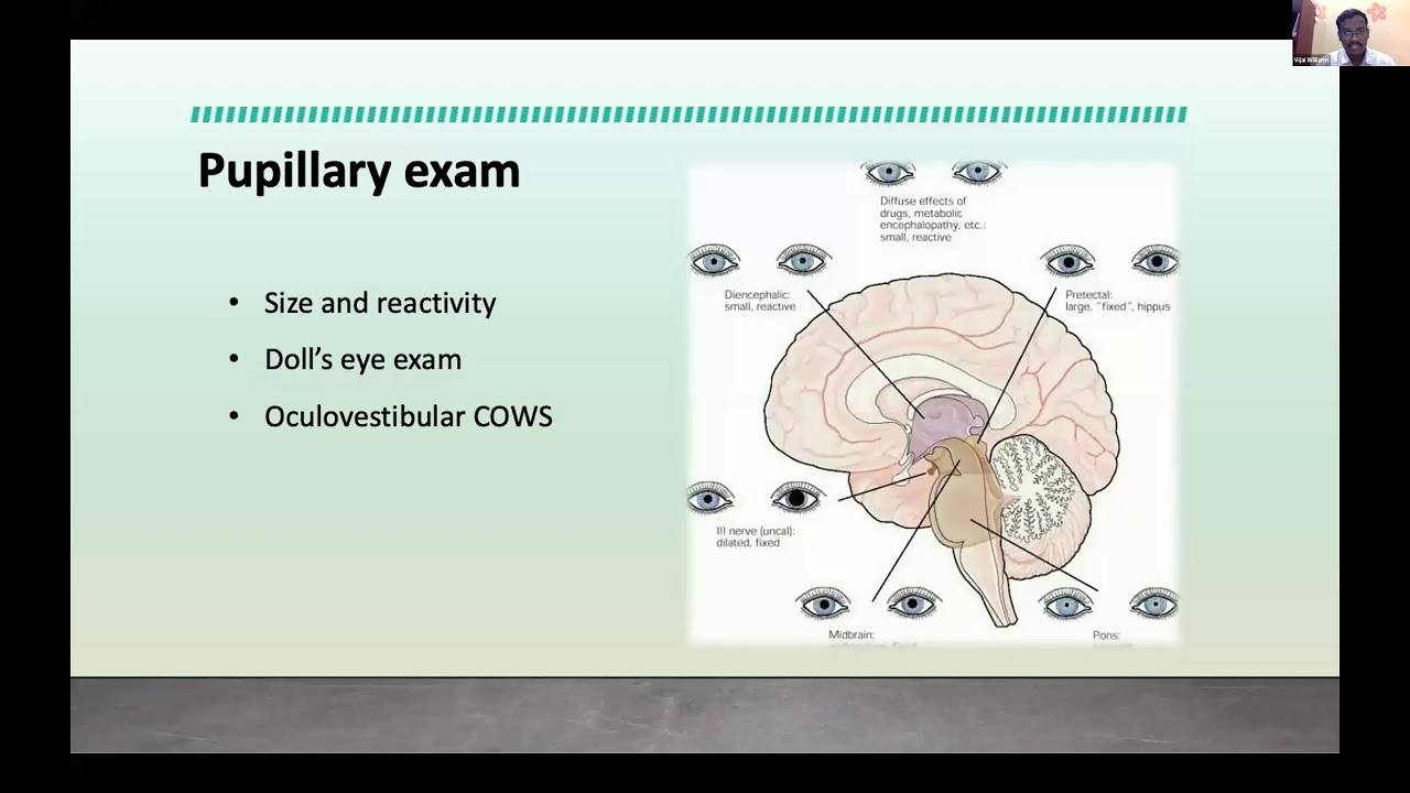 Approach to a child with altered consciousness