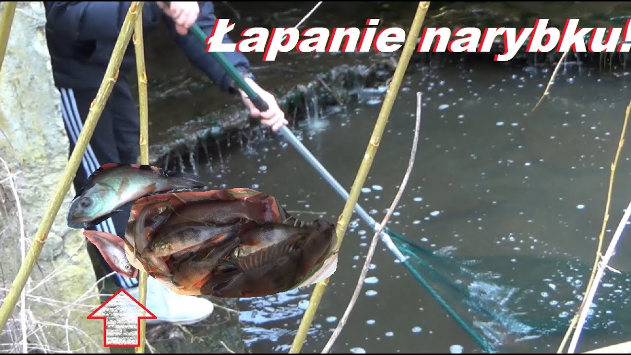 ŁAPANIE NARYBKU do ZARYBIANIA!