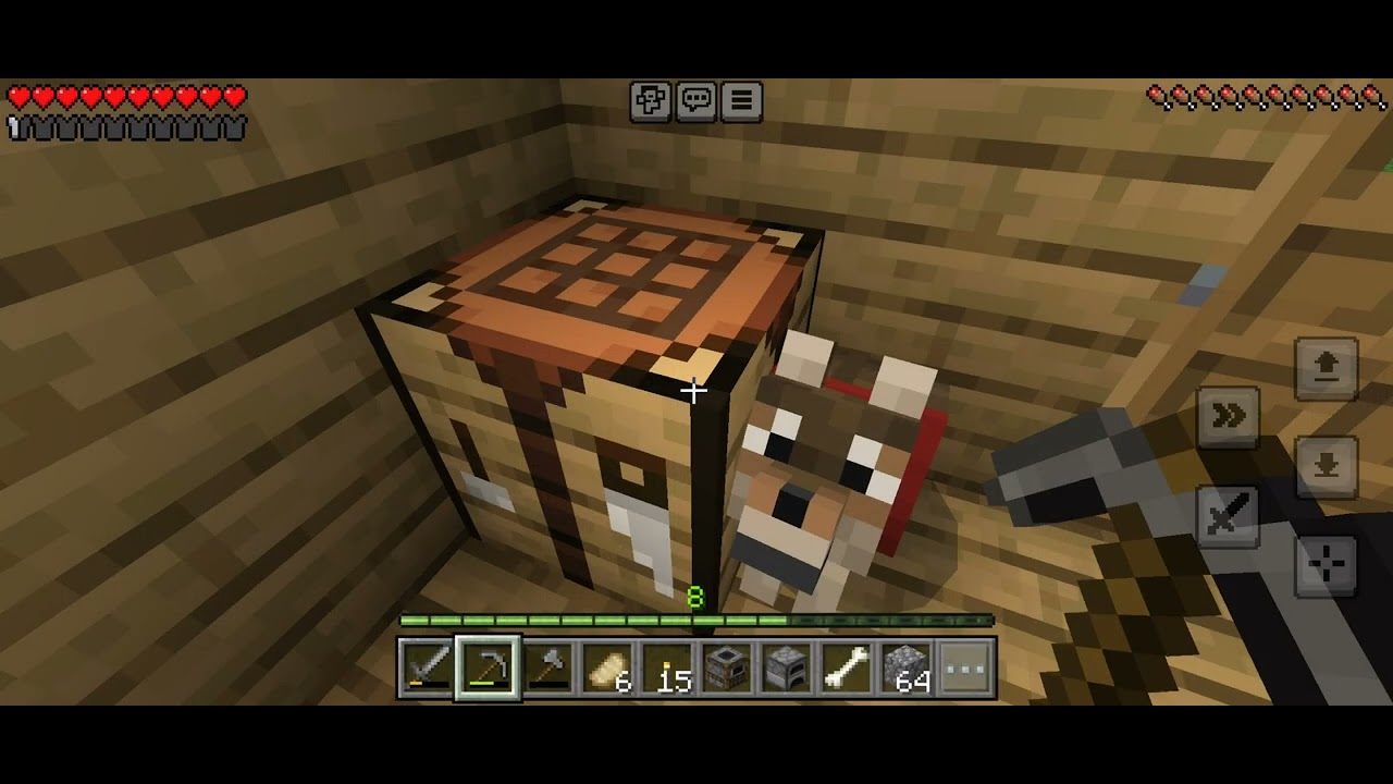 Minecraft part 5