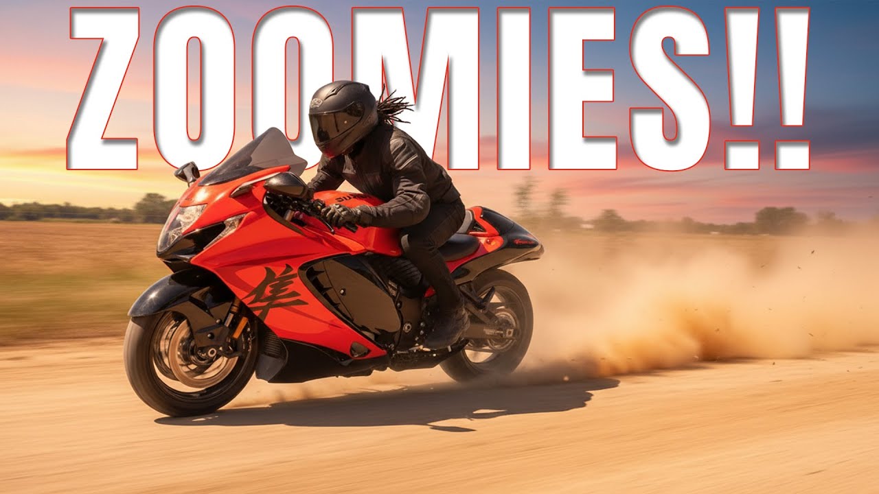 Сегодня я получил ZOOMIES на Hayabusa.