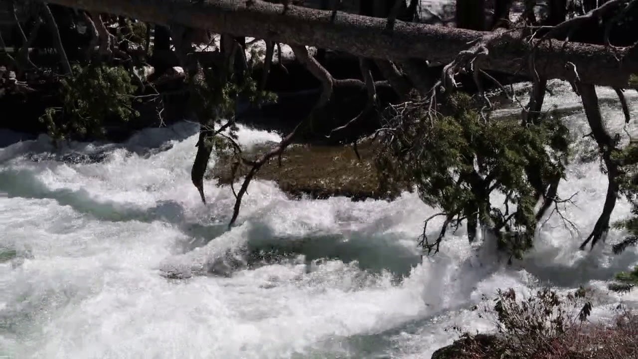 Peligro, ríos!!!! Evolution creek.