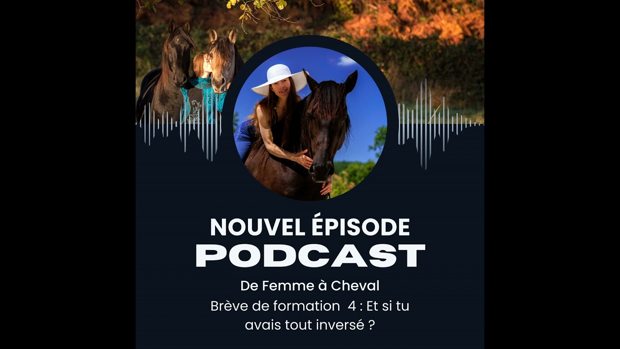 De Femme à Cheval #4 - Brève de formation : Et si tu avais tout inversé avec ton cheval ?