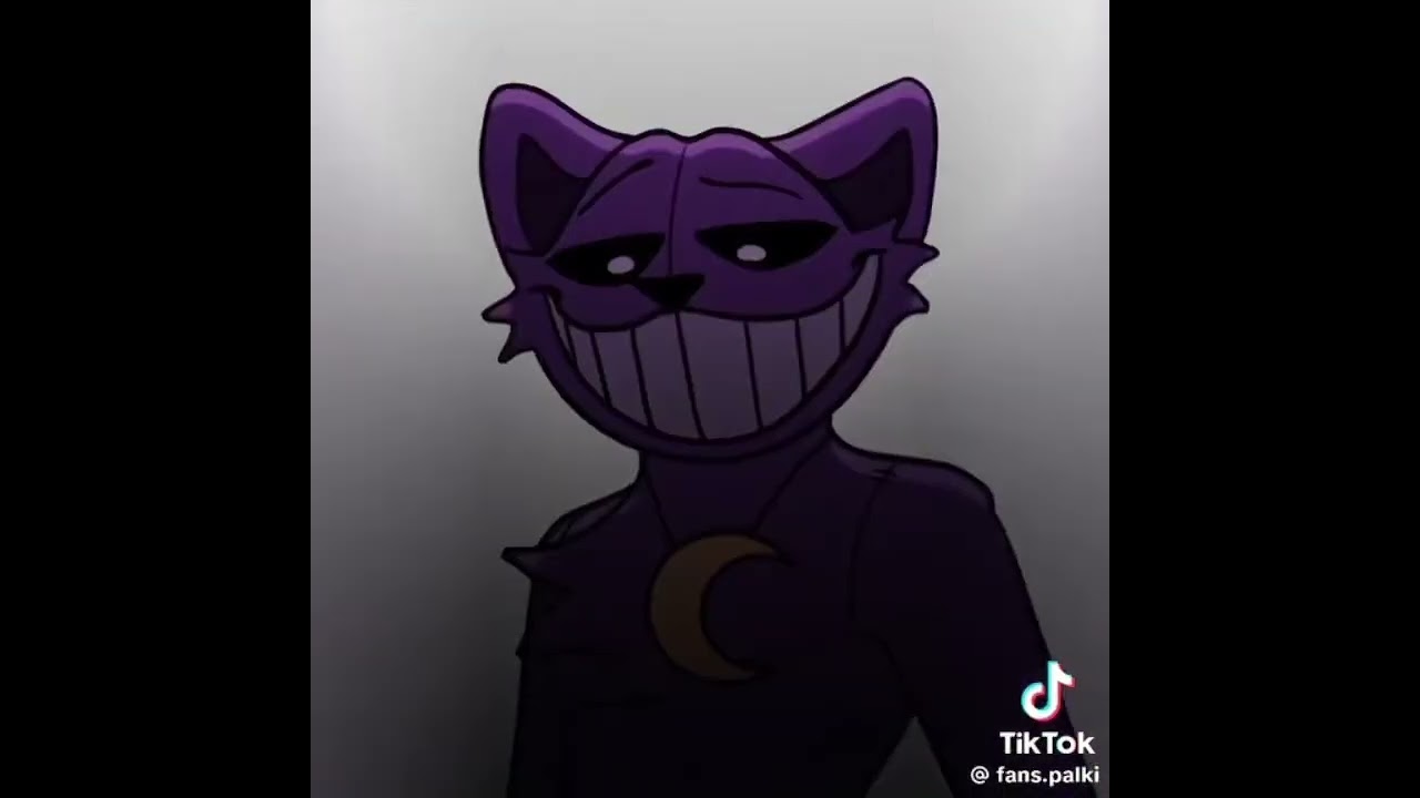 Videos I found on TikTok part 5