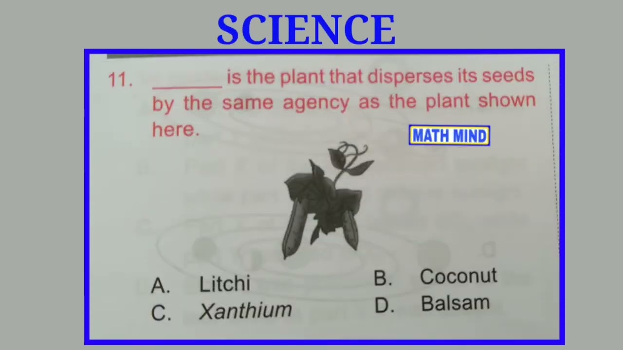 Class 5 National Science Olympiad Question Paper / NSO Class 5 question paper 2019 question 1 to 25