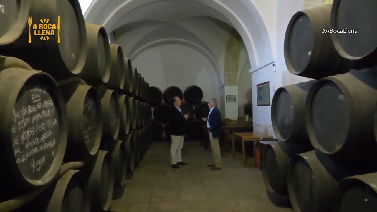 Reportaje en Arfe, la bodega de Jerez que sólo produce palo cortado