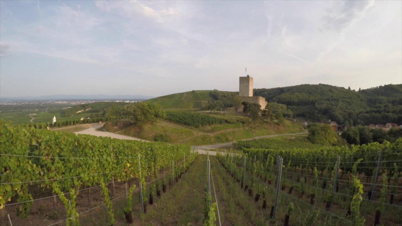 Alsazia il nostro enoviaggio nella terra del Riesling