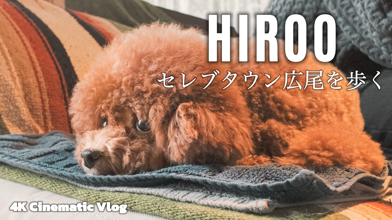 広尾で見つけた 愛犬とゆっくり過ごせる最高の散歩ルート｜30代 独身男性 × トイプードル いなり【4K Cinematic Vlog】