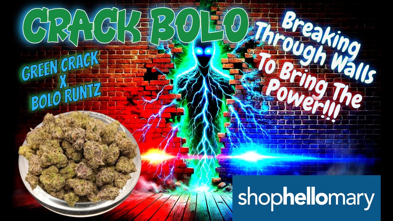 Trying ShopHelloMary Crack Bolo THCa Flower - Bolo Runtz With A Twist!