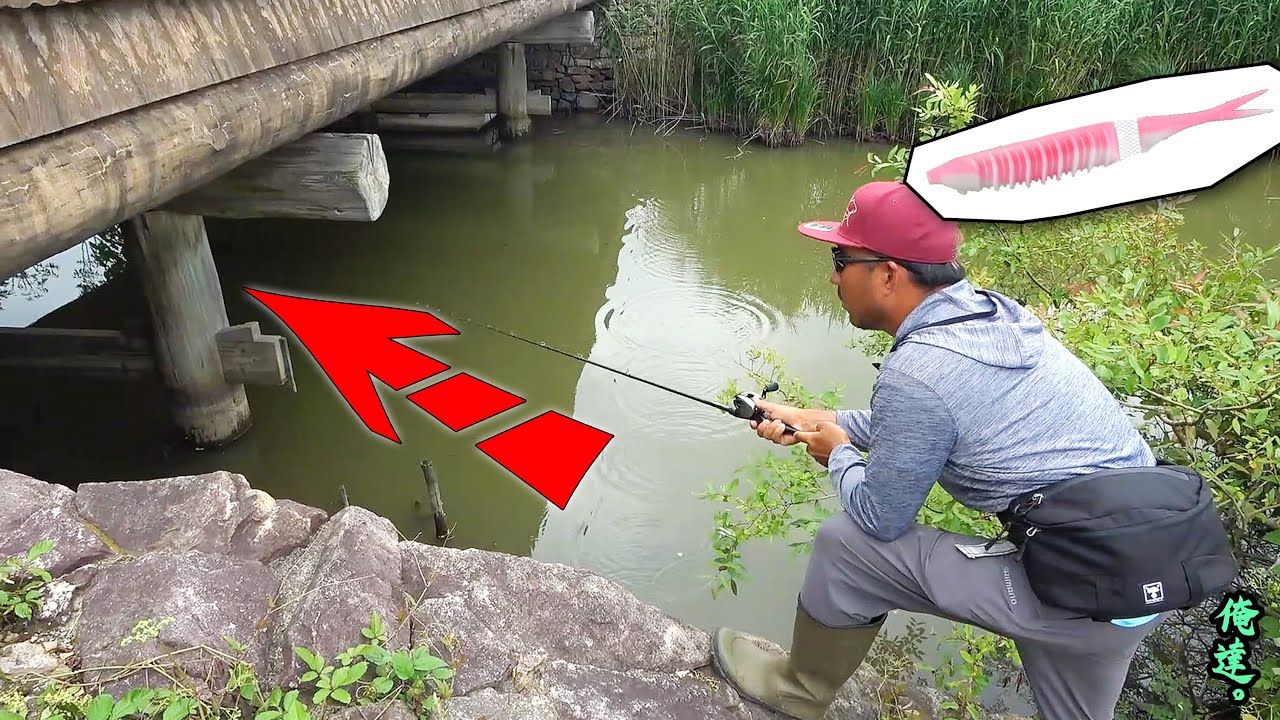 魚が隠れるスポットに新作ルアーをスーパースキッピングさせると…