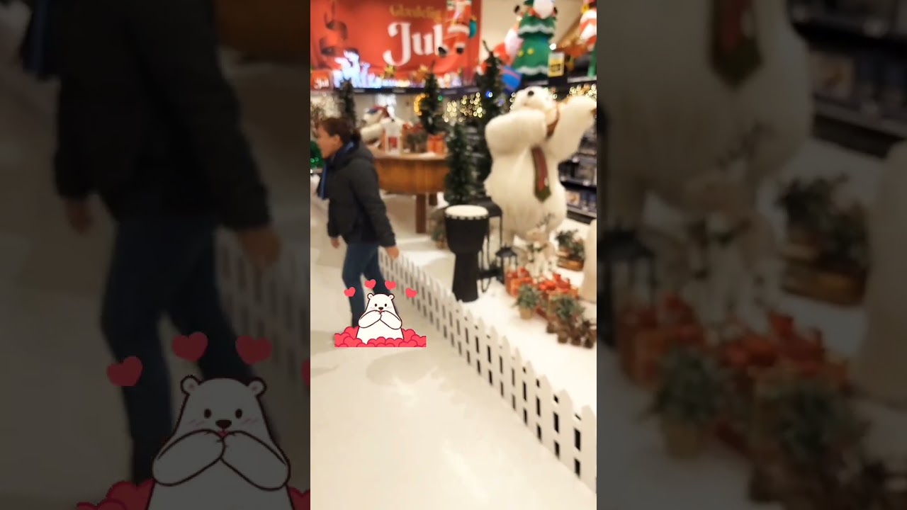 😍Amazing DAY WITH THE POLAR BEAR/DENMARK/BILKA SUPERMARKET