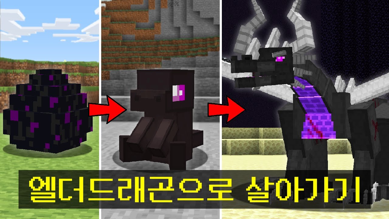 마인크래프트, 엘더드래곤 키우기 시뮬레이션 켠왕하기