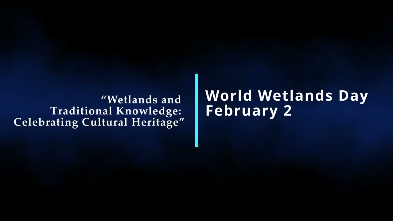 Celebrating World Wetlands Day 2026: University Engagement in Wetland Sustainability