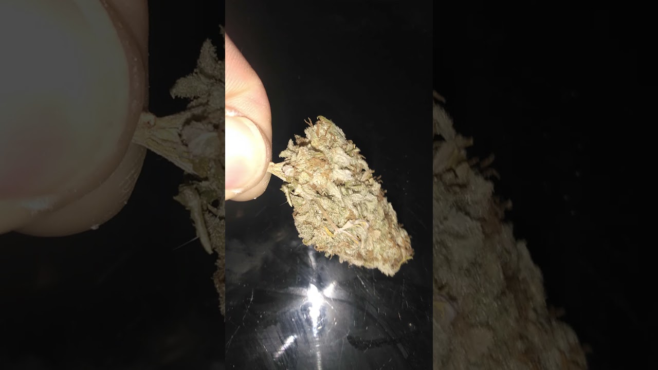 SUPER SKUNK