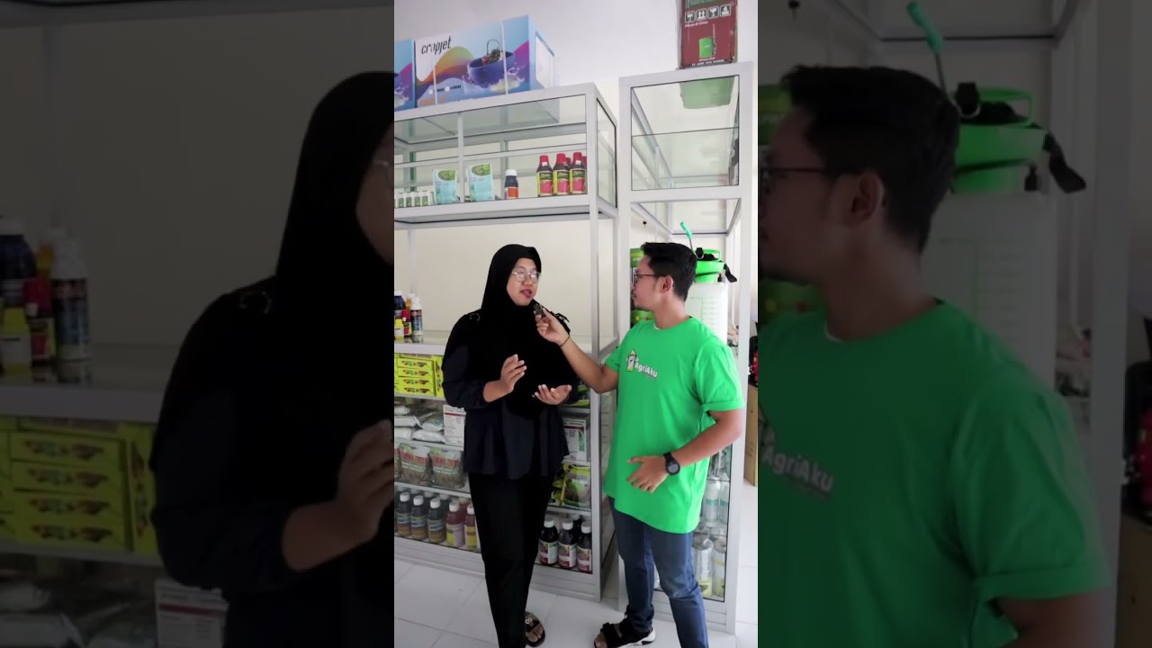 AgriAku lagi jalan-jalan ke kota #Blitar dan mampir ke Mitra CV Ratu Bina Mandiri.