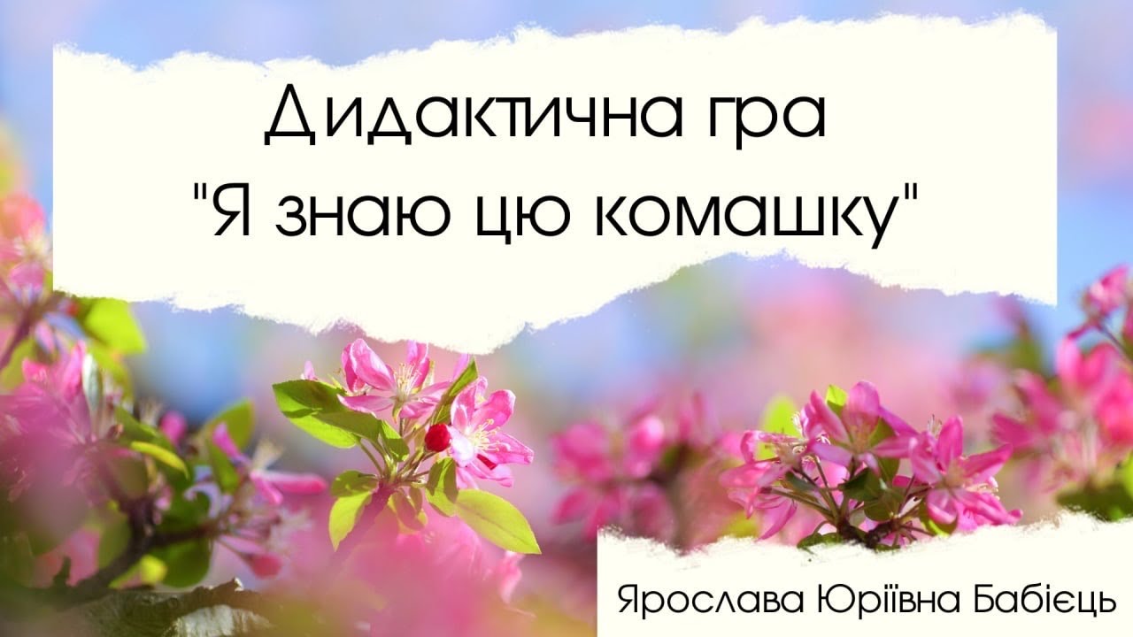 Дидактична гра «Я знаю цю комашку»🐞🦟🐝🕷🐜