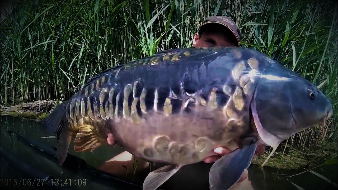 Film pêche à la carpe 2015 - Session plan d'eau 20 hectares dans la Marne