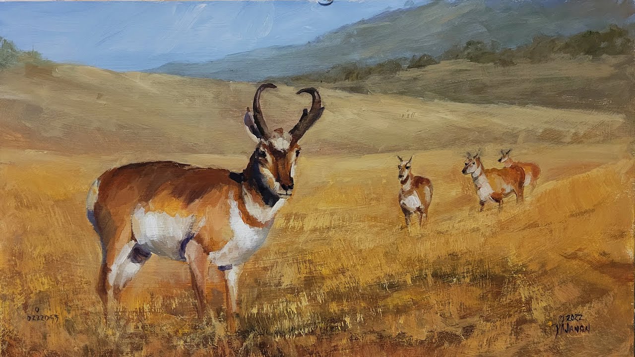 Painting the Pronghorn Study Acrylic Landscape and Wildlife Techniques