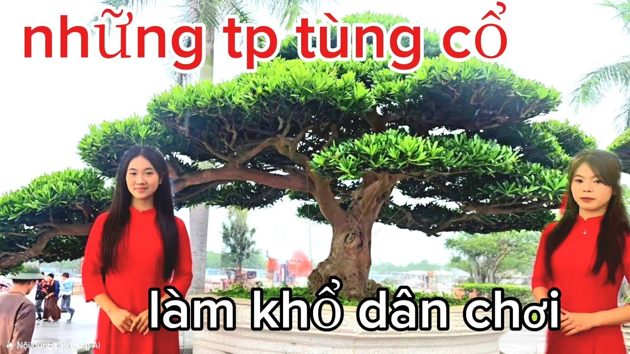 Những tác phẩm tùng cổ đại liên vừa ngắm vừa dùng mình 