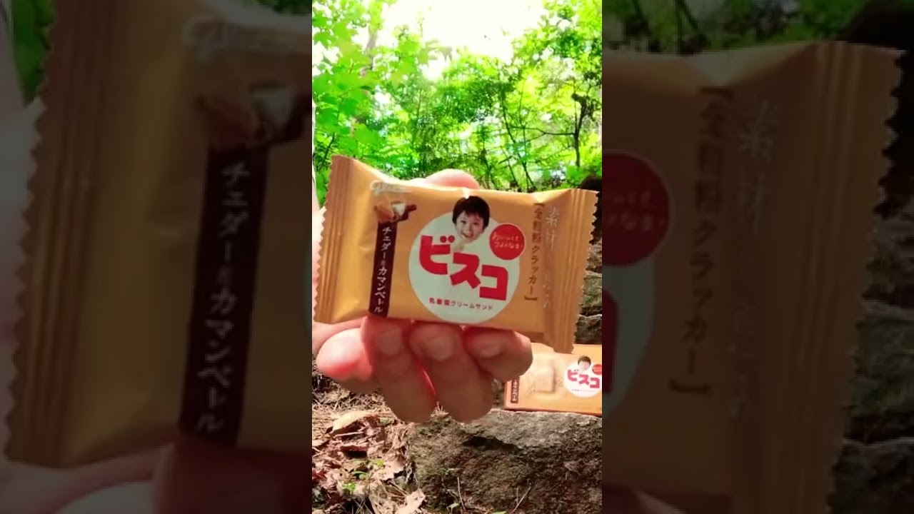 【Biscuit】This is JAPAN !!! 